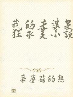 我的老婆是受虐狂永美小说免费阅读