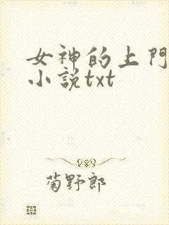女神的上门豪婿小说txt
