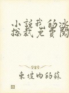 小说我的冰山女总裁免费阅读