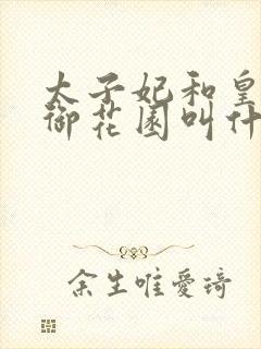 太子妃和皇帝在御花园叫什么小说