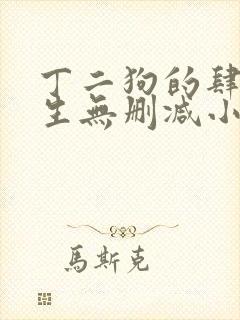 丁二狗的肆意人生无删减小说免费封面