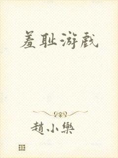 羞耻游戏封面