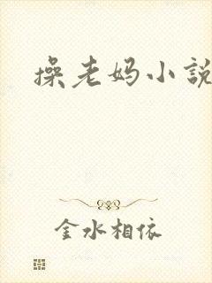 操老妈小说