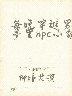 每晚穿进男神的梦里npc小说封面
