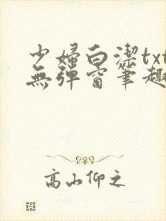 少妇白洁txt无弹窗笔趣阁
