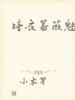 暗夜蔷薇魅