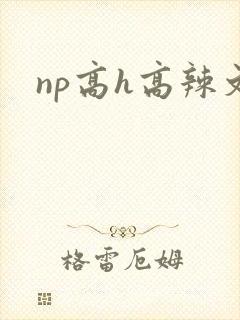 np高h高辣文