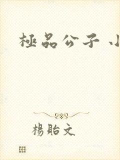 极品公子 小说