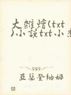 大杂烩(txt)小说txt小杰
