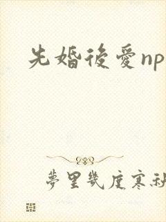 先婚后爱nph