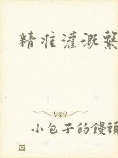 精准灌溉系统