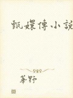 甄嬛传小说