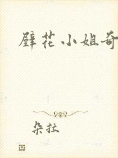 壁花小姐奇遇记封面
