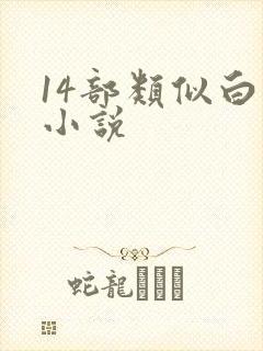 14部类似白洁小说封面