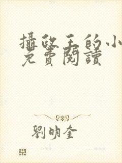 摄政王的小奶娘免费阅读封面