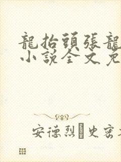 龙抬头张龙周晴小说全文免费阅读