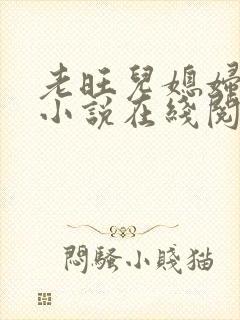 老旺儿媳妇秦雨小说在线阅读免费