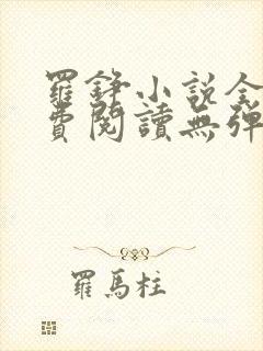 罗铮小说全文免费阅读无弹窗