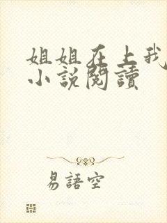 姐姐在上我在下小说阅读