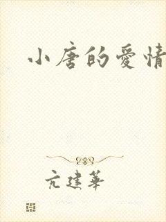 小唐的爱情史