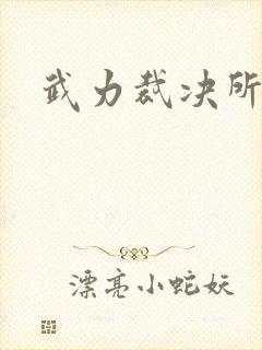 武力裁决所封面