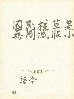 国民校草是女生无删减版小说封面