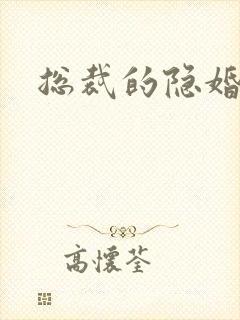 总裁的隐婚妻子