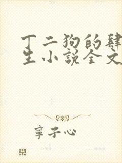 丁二狗的肆意人生小说全文免费封面