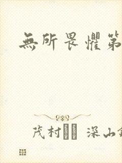 无所畏惧第二部