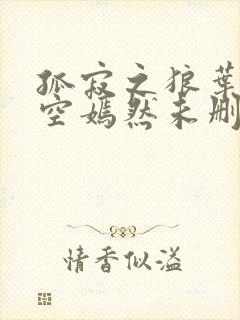 孤寂之狼叶凡司空嫣然未删减txt
