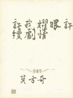 许我耀眼许妍后续剧情封面