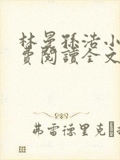 林曼孙浩小说免费阅读全文最新章节