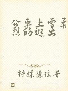 公车上雪柔被猛烈的进出