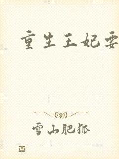 重生王妃要和离