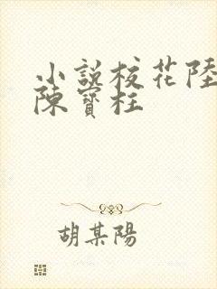 小说校花陆冰嫣陈宝柱
