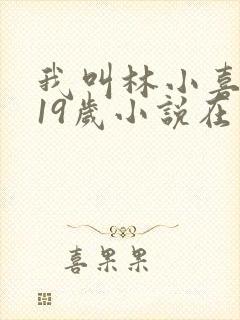 我叫林小喜今年19岁小说在线阅读全文封面