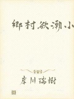 乡村欲潮小说封面