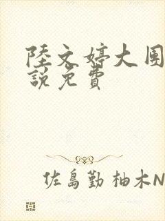 陆文婷大团圆小说免费