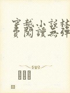 穿越小说林丰免费阅读无弹窗
