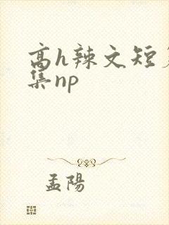 高h辣文短篇合集np
