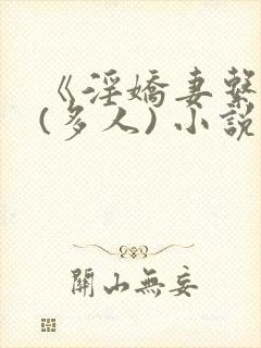 《淫娇妻系列》(多人) 小说