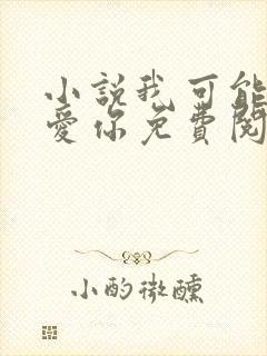 小说我可能不会爱你免费阅读