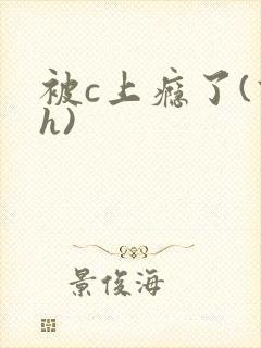 被c上瘾了(高h)