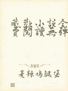 藏欢小说全文免费阅读无弹窗封面