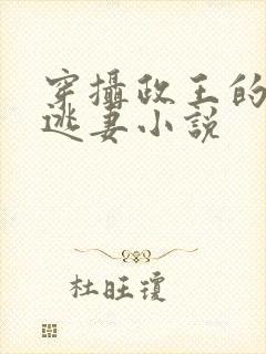 穿摄政王的侍爱逃妻小说封面