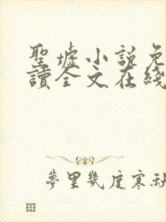 圣墟小说免费阅读全文在线封面
