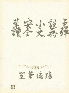 叶安小说免费阅读全文无弹窗