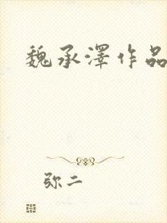 魏承泽作品封面