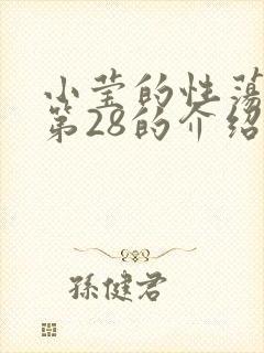 小莹的性荡生活第28的介绍封面