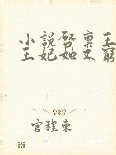 小说启禀王爷,王妃她又穷疯了免费看封面